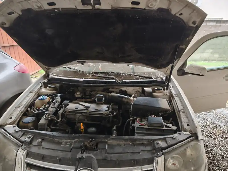 Foto de BORA TDI, año: 2010, tipo: SEDAN 4 PTAS