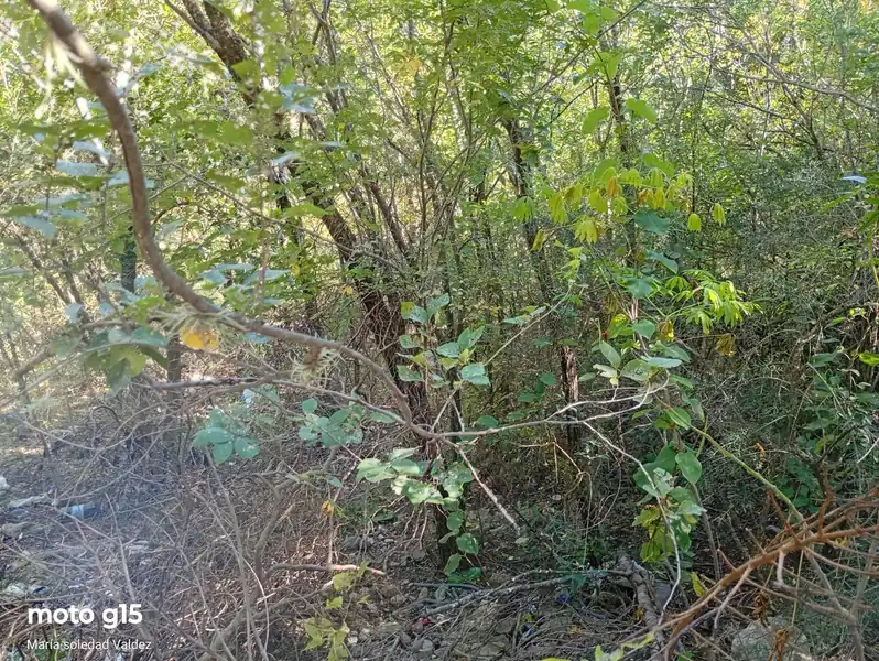 Foto de Terreno en La Falda