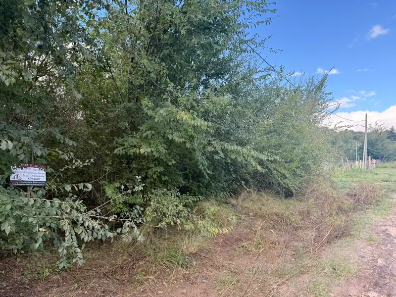 Foto de Lote Bialet Masse