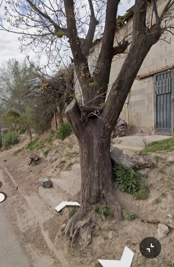 Foto de Lote con construcción