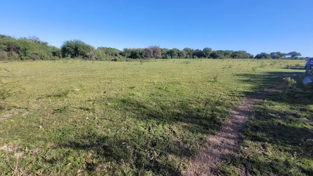 Foto de Gran Remate de Campo 100% DERECHOS Y ACCIONES