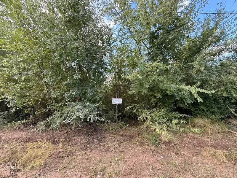 Foto de Lote Bialet Masse