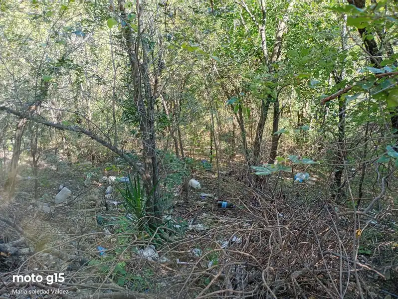 Foto de Terreno en La Falda