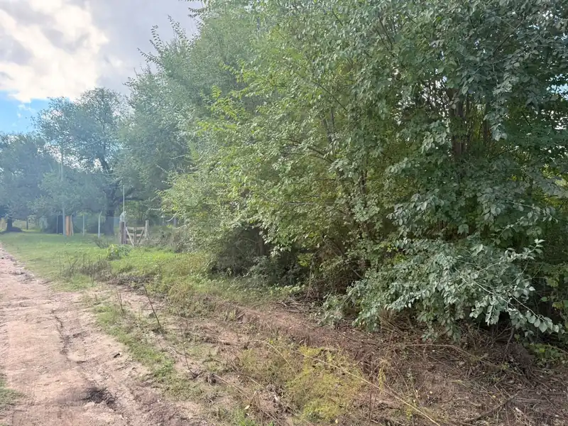 Foto de Lote Bialet Masse