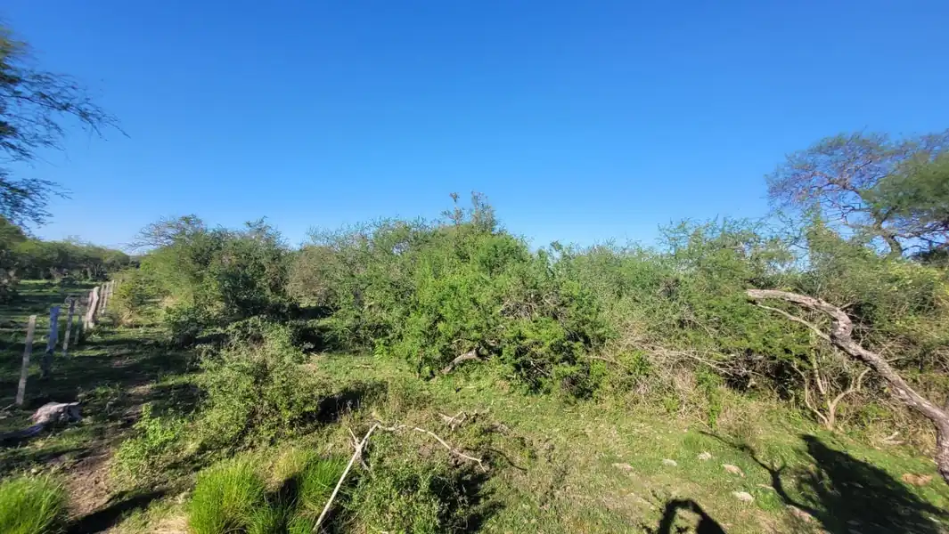 Foto de Gran Remate de Campo 100% DERECHOS Y ACCIONES