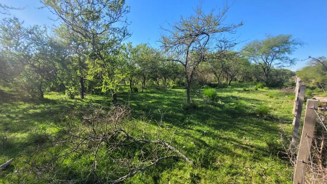 Foto de Gran Remate de Campo 100% DERECHOS Y ACCIONES