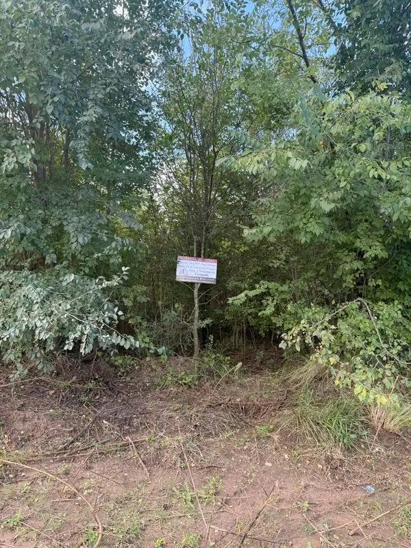 Foto de Lote Bialet Masse