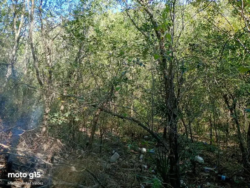 Foto de Terreno en La Falda