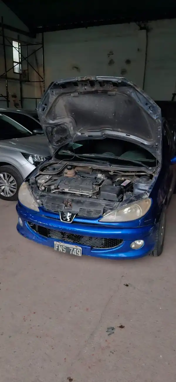 Foto de Peugeot 206 XR Premium 1.6 3 Ptas. Año 2006