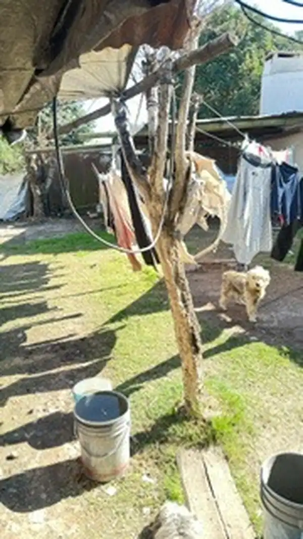 Foto de LOS CHARRUAS CASA CON AMPLIO TERRENO