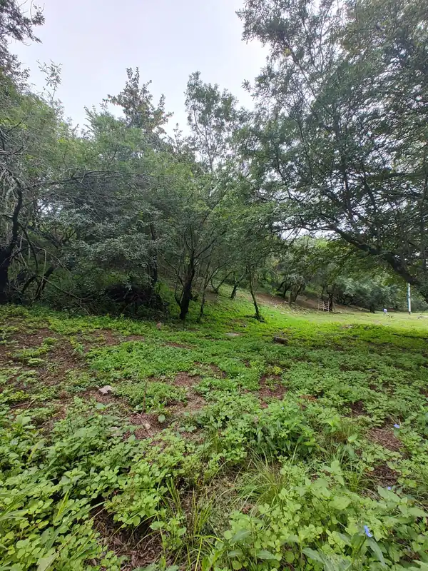 Foto de DERECHOS 1/3 LOTE BALDIO Country La Pankana