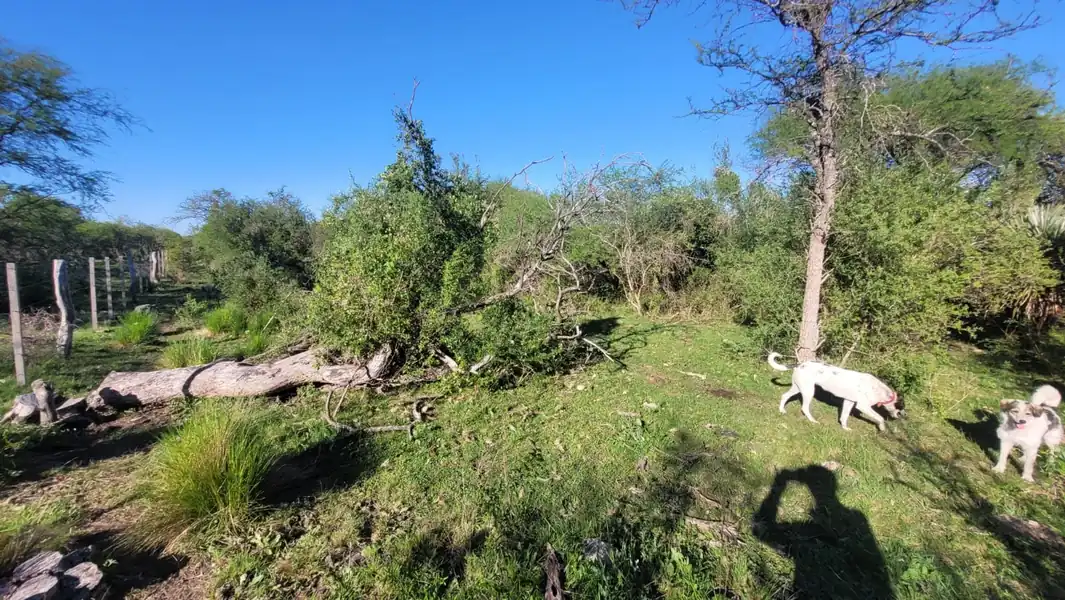 Foto de Gran Remate de Campo 100% DERECHOS Y ACCIONES
